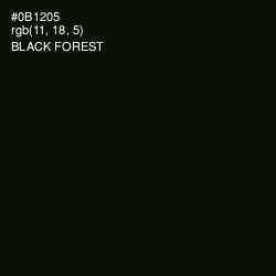 #0B1205 - Black Forest Color Image